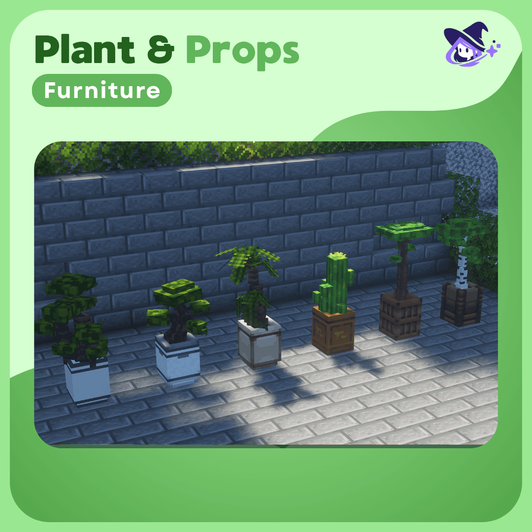 Furniture |Plant & Props